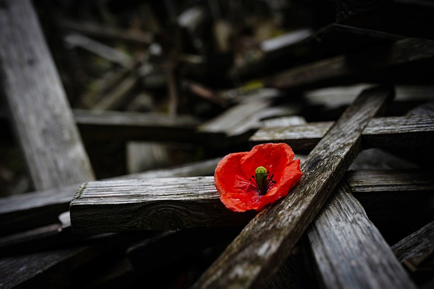 transgeneration trauma war